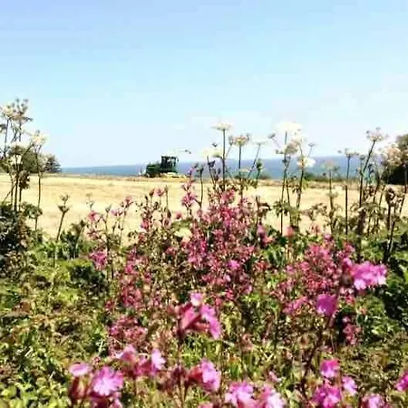 Bream Loft, Dog Friendly, Wood Burner, Walking Distance To Holiday home